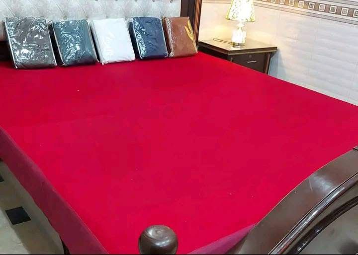 Bedarina Premium Quilted Plane Mattress Protector